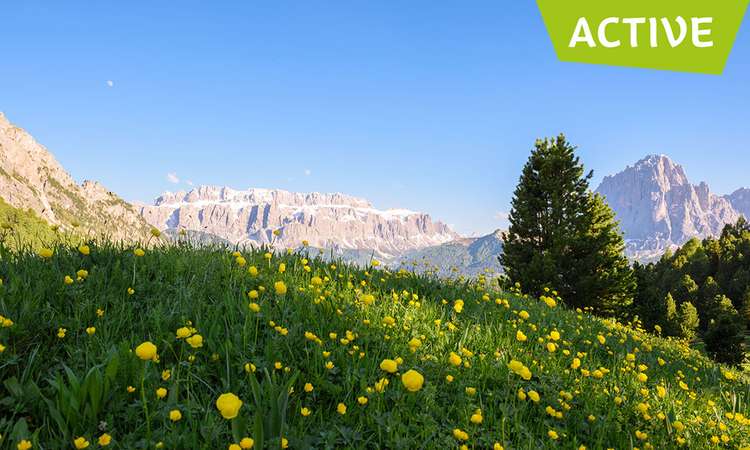 Aktivitätenprogramm Val Gardena Active