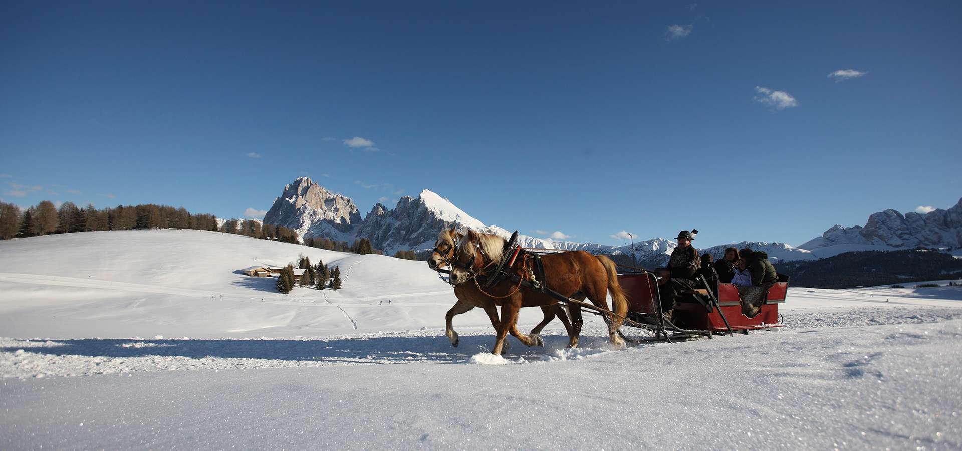 Winterangebote